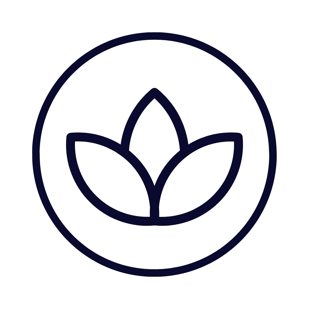 Alt Image